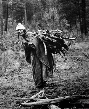 An indigenous person in braids, wearing a hat and a long blanket, carries a large bundle of branches on their back. They are in the forest. 